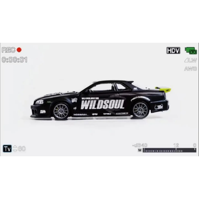 *APAXPO 2026* Skyline R34 "Smilodon" Heat Black Matte Wild Soul livery, 1:64 Scale