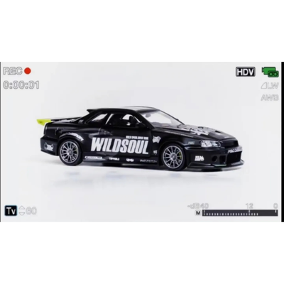 *APAXPO 2026* Skyline R34 "Smilodon" Heat Black Matte Wild Soul livery, 1:64 Scale